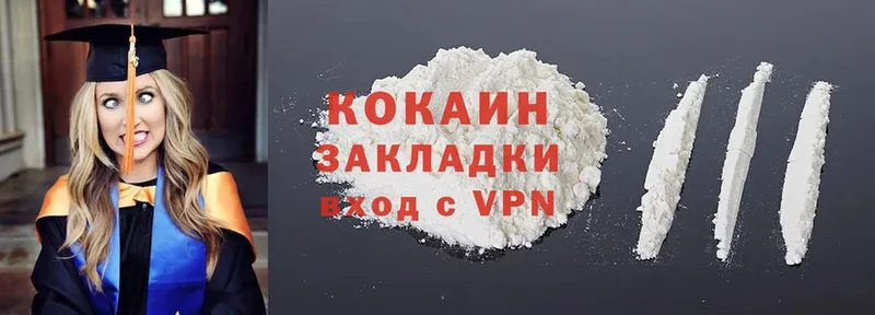 Cocaine FishScale  где можно купить   Боровичи 